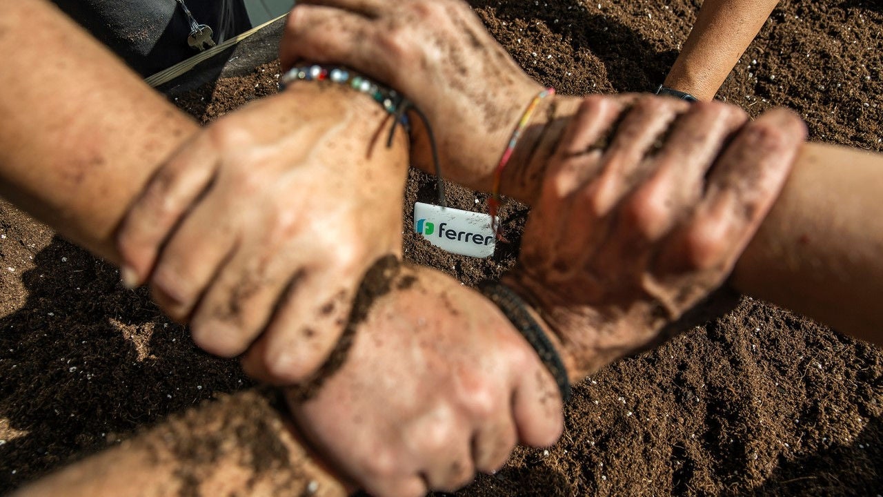 Several arms with intertwined hands and stained with dirt symbolize teamwork and the social commitment of the Ferrer brand.