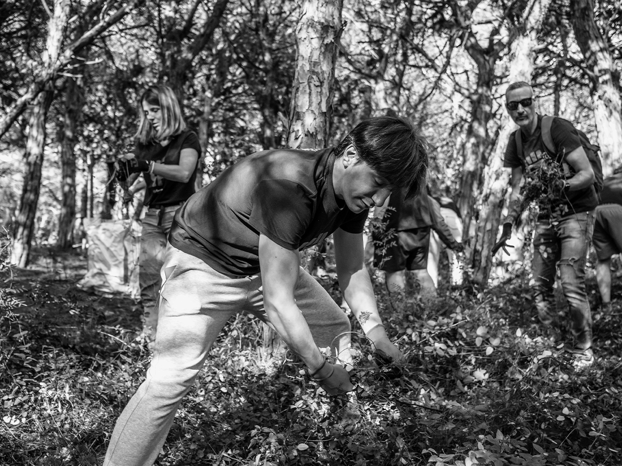 Employees in an environmental forest cleaning volunteer program under the Liveable Planet initiative of Grupo Ferrer.