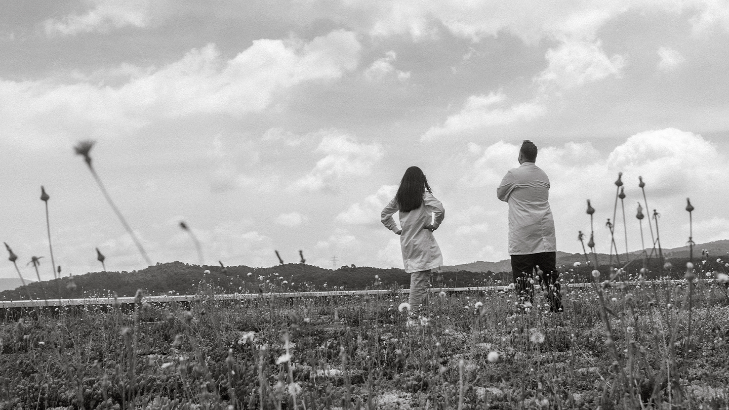 Ferrer professionals in a natural environment that represents the company's commitment to sustainability, positive social impact and health, highlighted in its annual reports.