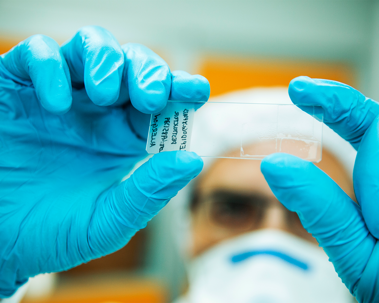 Investigador de Grupo Ferrer examinando detalladamente un portaobjetos en el laboratorio para el control de calidad de productos farmacéuticos