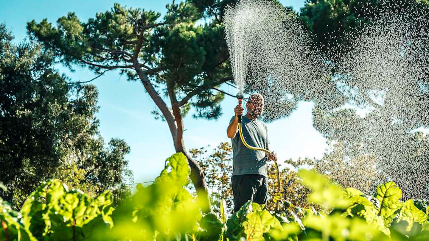 Un operari regant els cultius d'un hort ecològic vinculat als projectes socials de la Fundació Ferrer.