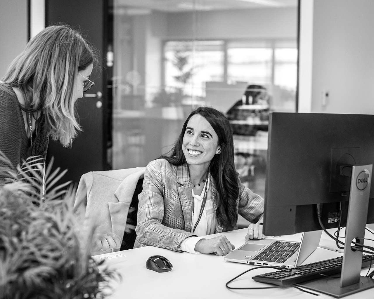 Two professionals from the Ferrer company collaborating in an internal growth project within the corporate office.