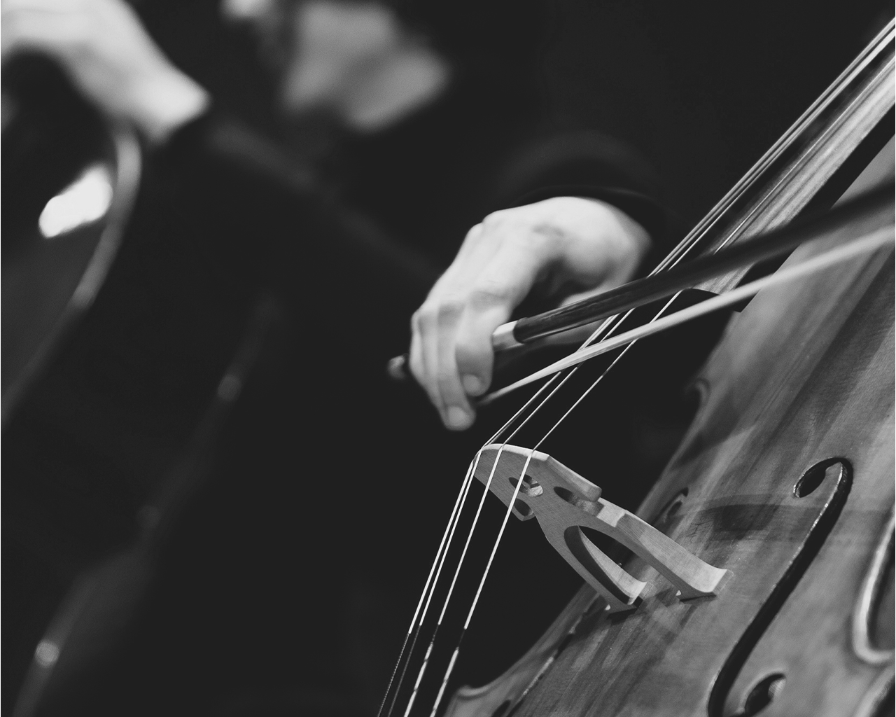 Primer plano de un músico tocando el violonchelo durante un concierto financiado por los proyectos culturales de la Fundación Ferrer.