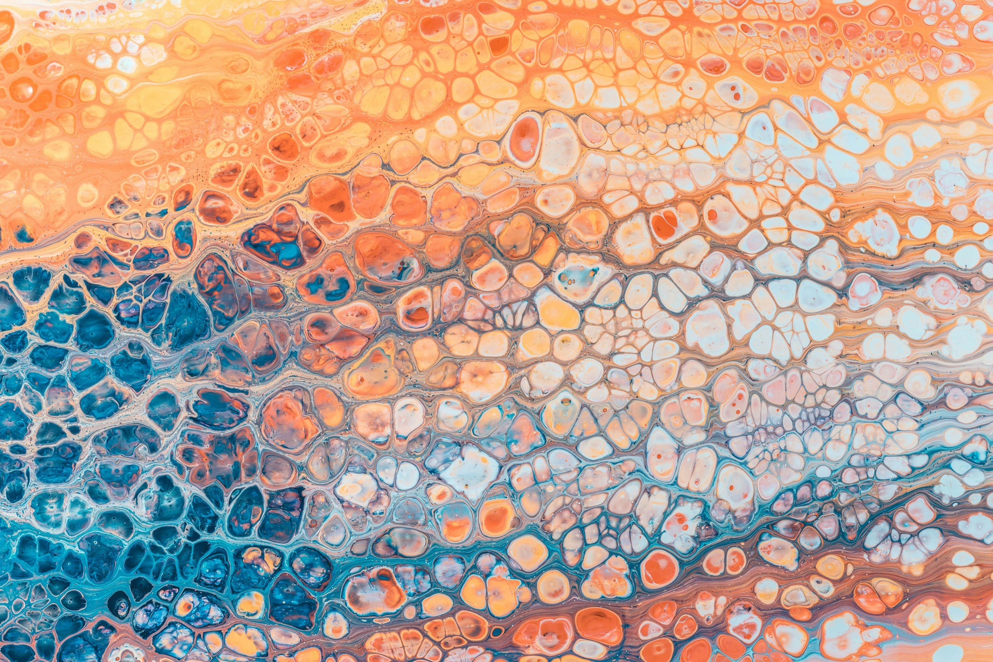 Imagen abstracta con formas celulares en tonos naranjas, azules y blancos, evocando investigación científica, biotecnología e innovación en salud.
