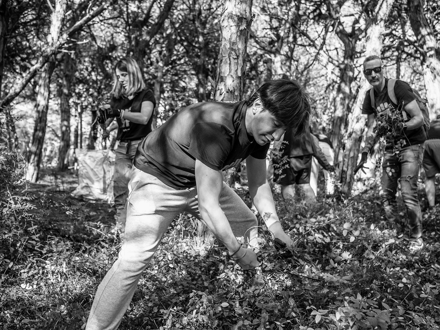 Voluntarios de Grupo Ferrer realizando tareas de reforestación y limpieza forestal para el cuidado del medio ambiente.
