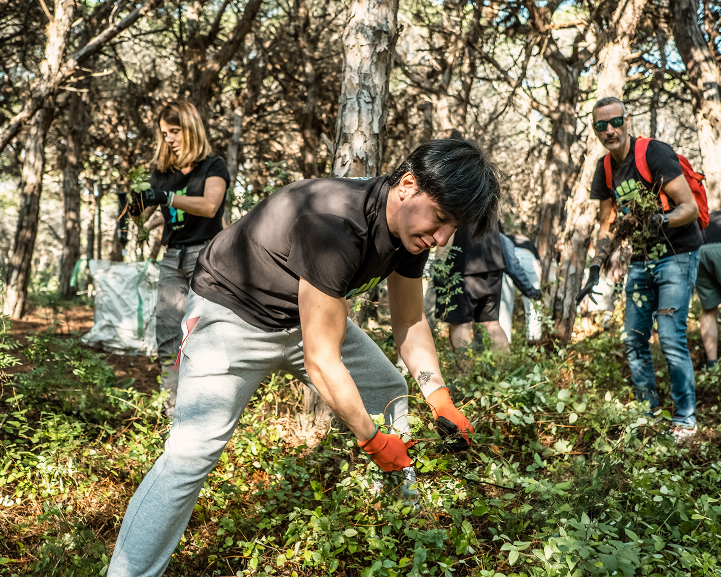 Empleados en un voluntariado ambiental de limpieza de bosques bajo la iniciativa Liveable Planet de Grupo Ferrer.