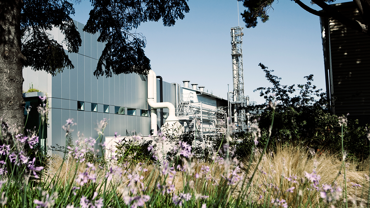 Vista exterior de la planta química de Ferrer envoltada de vegetació, reflectint el seu compromís amb la química verda.